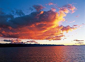 现在就加入 Steam 上的《阿拉斯加卡车司机》“不给糖就偷油”活动吧！